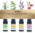 Natural Essential Oil Blend Set, 4 Pack, Essential Oil Blends for Massage, Suitable for Aromatherapy, Massage, Gifts, Hair Care (Jasmine&Rosemary&...