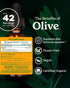 Herb Pharm Certified Organic Olive Leaf Liquid Extract for Immune System Support - 1 Ounce...