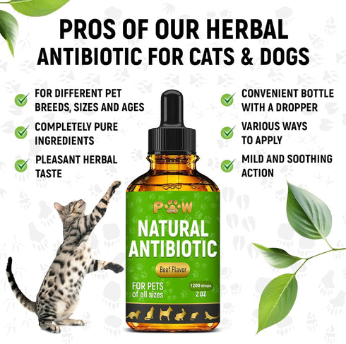 Antibiotic for Cats | Natural Antibiotics for Dogs | Cat Antibiotics | Dog Antibiotic | Antibiotic for Dogs | Natural Antibiotics for Cats | Natur...