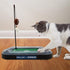 Cat Feather Toy NFL DALLAS COWBOYS FOOTBALL FIELD CAT SCRATCHER TOY with CATNIP Filled Plush FOOTBALL Toy & Feather Cat Toy hanging, with Jingle B...