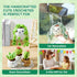 Imcrasy Crochet Kit | Crochet Kit for Beginners | Beginner Crochet Kit with Step by Step Video Lessons | 6 PC Potted Plants and Succulent Family C...