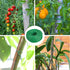 Soft Plant Ties 16.5Ft, Diameter 0.16"/4mm Green Plant Twist Garden Ties Gardening Supplies for Supporting Climbing Plants, Tomatoes, Vegetables, ...