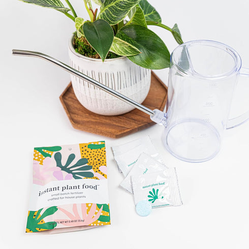 Houseplant Fertilizer & Indoor Plant Food | Self-Dissolving Tablets | Make Feeding Your Plants a Breeze | Instant Plant Food (4 Tablets)...
