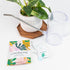 Houseplant Fertilizer & Indoor Plant Food | Self-Dissolving Tablets | Make Feeding Your Plants a Breeze | Instant Plant Food (4 Tablets)...