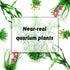 Fish Tank Accessories Aquarium Decorations Plants, 9pcs Green Fish Tank Decorations Plants and Cave Rock Decoration Decor Set, Aquarium Decor Plas...