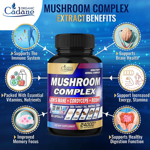 24000mg Mushroom Complex Supplements - Brain, Memory, Energy Production & Immune System - 13in1 Concentrated with Lions Mane Mushroom, Reishi, Tur...