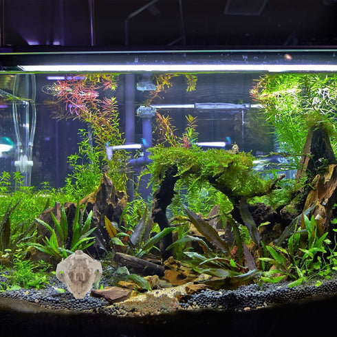 Amosfun Halloween Animal Scary Skeleton Props Resin Cat Skull Model Figurine Aquarium Fish Tank Landscape Decorations...