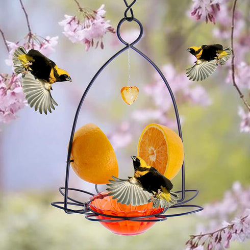 FORUP Oriole Bird Feeder, Orange Fruit Oriole feeder...
