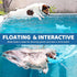 Dog Floating Toy, Dog Chew Toy for Aggressive Chewers, Pool Toy with Rope for Interactive Fetch & Play, Dog Beach Toy Set (Shark)...