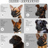 Dog Muzzle,Mesh Soft Muzzle for Small Medium Large Sized Dogs, Breathable Reflective Adjustable Puppy Muzzles with Collar for Scavenging Grooming ...