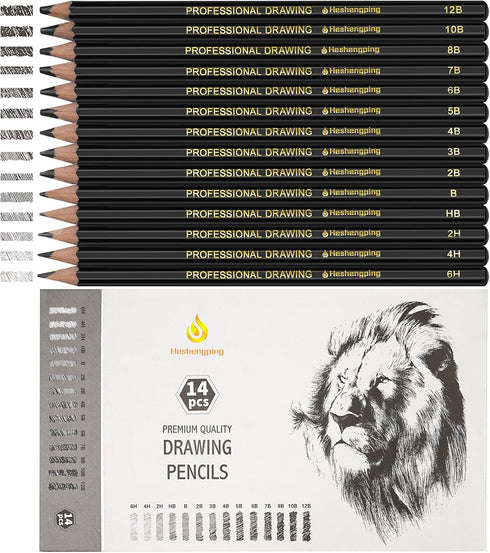 Sketch Pencils Set for Drawing, 14 Pack Graphite, for Art, Pencil kit for Sketching, Shading, Artist Pencils for Beginners Pro Artists...