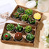 12 Pieces Cactus Tealight Candles Handmade Delicate Succulent Cactus Candles for Party Wedding Spa Home Decoration Gifts(Chic Style)...