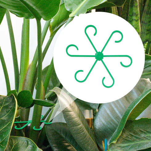 4pcs Climbing Houseplant Stem Supports, Plastic Plant Climbers Stem Holders Reusable Flower Plant Stakes Trellis Stem Hook Growth Accessories for ...