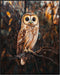 Posterizer 1 pcs-painting style-cute solitary owl on a branch-Art for Animal Lovers-Landscape & Nature Art-Living Room Bedroom Decor- unframed wal...