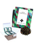 Art of Tea | Organic Green Pomegranate Tea| 50 Eco Friendly Pyramid Tea Bag Sachets...