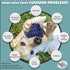 Bella Boo Pets Interactive Dog Toy for Strong Chewers - Freddy The Hedgehog Blue All-in-One Treat Ball + Food Dispensing Slow Feeder Dog IQ Puzzle...