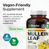 BIO KRAUTER Mullein Capsules for Lung Detox 1200 mg - 250 Count - Mullein Leaf Capsules for Respiratory Support - Vegan Lung Support Supplement - ...