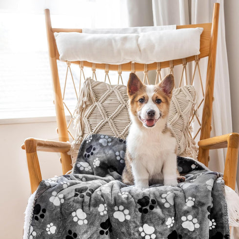 Waterproof Pet Blanket Dog Blankets, Pattern Printing Super Soft Warm Fluffy Facecloth Sofa Car Bed Protector, Urine Proof Washable Pet Blanket fo...