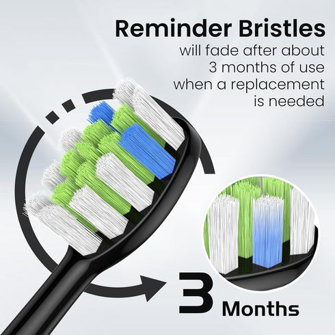Replacement Brush Heads 10 Pack Compatible with AquaSonic Black Series, Vibe Series, Black Series Pro, Duo Series Pro Electric Toothbrush, Black...
