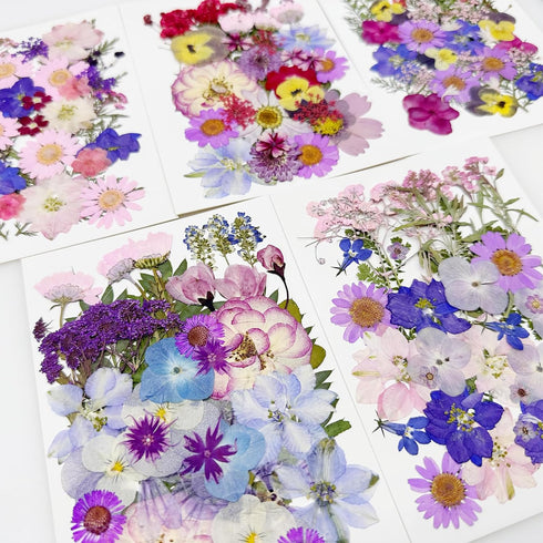 Cayway 170 PCS Real Nature Dried Pressed Flower Leaves, Pressed Flowers for Resin, Real Nature Pressing Floral Leaves for DIY Craft, Candle Scrapb...