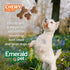 Emerald Pet Little Chewzzies Wheat Free Training Dog Treats — Healthy and Tasty Natural Dog Chews with Real Meat or Peanut Butter — Limited Ingred...