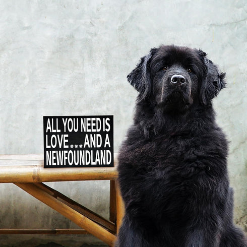 JennyGems Newfoundland Gifts, All You Need Is Love and a Newfoundland Wooden Sign, Newfoundland Dog Mom, Shelf Decor and Wall Hanging, Made in USA...