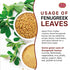 Spicy World Dried Fenugreek Leaves (Kasoori Methi) 3.5oz Box (100g) - All Natural | Vegan | Gluten Friendly | NON-GMO | Indian...