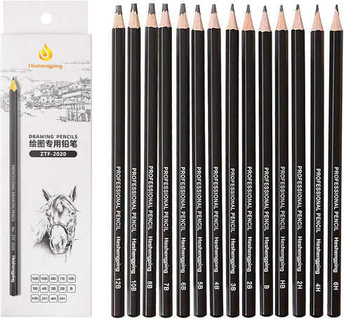 Heshengping Drawing Sketch Pencil Set 14pcs Sketching Pencils 12B 10B 8B 7B 6B 5B 4B 3B 2B B HB 2H 4H 6H Graphite Pencils for Kid Adults Artists S...