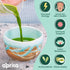 AprikaLife Organic Matcha Powder, USDA & JAS Certified, No Sugar Added, Authentic Japanese Ceremonial Grade Matcha Green Tea Powder, 1.05 oz/30g...