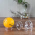 (48 Pack) Baseball Display Stand,Spheres Holder, Clear Baseball Ring, Sphere Stand,Round Display Stand for Golf Ball, Baseball, Softball, Tennis B...
