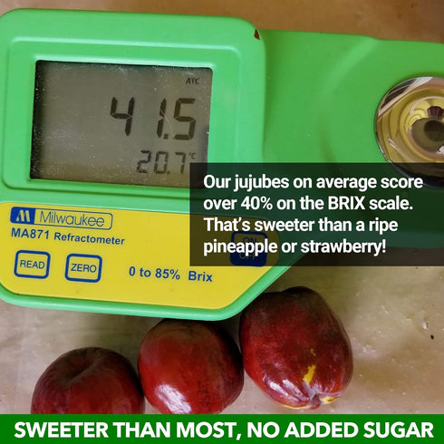 USDA Organic California Grown Pure Jujube Product | JUJUME Crisps | Sweet Jujube Chips | ZERO Added Sugar or Preservatives | All-Natural Healthy S...