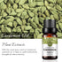 Cardamom Essential Oil 100% Pure Oganic Plant Natrual Cardamom Oil for Diffuser Message Skin Care - 10ML...