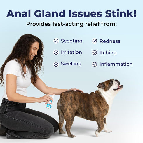 Vetnique Labs Glandex Medicated Dog Anal Gland Spray - Pain Relieving & Anti-Itch Formula to Soothe Inflamed Anal Glands in Dogs & Cats - Fast Act...