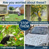 Fake Owls to Keep Birds Away, Bird Scare Device, Bird Scarer, Cardboard Hanging Reflectors, Flat Paper Garden Owls Scare Pigeons Woodpeckers Roden...