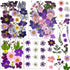 92 Pcs Purple Dried Pressed Flowers Real Natural Leave Petals for DIY Resin Candle Jewelry Nail Crafts...
