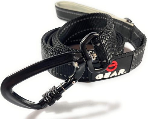 Nylon Dog Leash with Locking Carabiner for Large Medium Small Breeds – Heavy Duty Reflective Nylon Lead with Padded Handle for Everyday Walking, R...