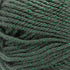 Caron Yarn Simply Soft PAR DK, Dark Sage Sparkle...