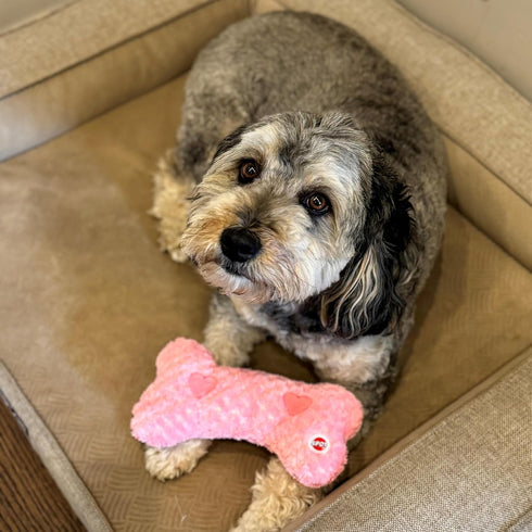 SPOT Soothers Warm Hug Bone - Calming Plush Dog Toy with Lavender Scented Beads, Removable Squeaker, Microwavable Warming Pouch, Separation Anxiet...