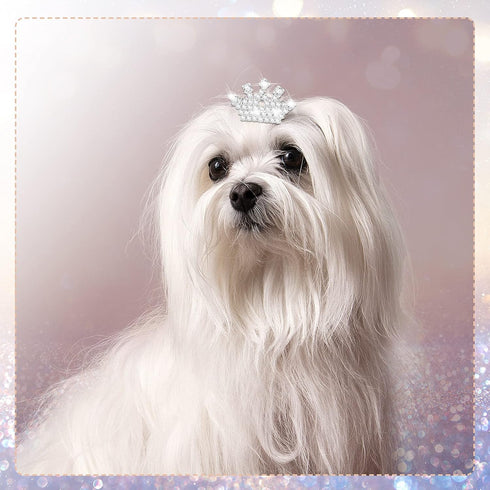 9 Pieces Dog Tiara Crown Hair Clips Pet Crystal Rhinestone Barrette Clips for Dog Puppy Ear Crown Clips Clear Doggie Crown Clip Pet Grooming Hair ...