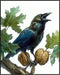 Posterizer 1 pcs-detailed natural history illustration of a raven-Corvus corax 1-Art for Animal Lovers-Gift for Men Women Teens-Chic Home Decor- u...