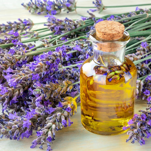 YOKIVE 25 Pcs Tapered Cork Plugs, Wooden Wine Bottle Stoppers, Replacement for Jars Test Tubes (43x38x17.5mm)...