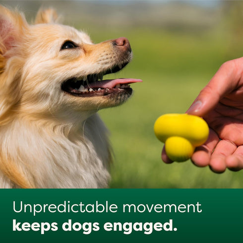 Earth Rated Dog Ball, Interactive Fetch Toy for Small, Medium, and Large Breeds, Comes in Multiple Sizes, Made with Natural Rubber, Perfect for In...