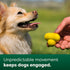 Earth Rated Dog Ball, Interactive Fetch Toy for Small, Medium, and Large Breeds, Comes in Multiple Sizes, Made with Natural Rubber, Perfect for In...