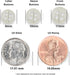 ButtonMode Standard Shirt Buttons 22pc Set Includes 8 Front (11mm or 7/16 in), 7 Sleeve (10mm or 3/8 in) & 7 Collar (9mm or Almost 3/8 in), Off Wh...