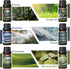 HIQILI Nature Fragrance Oil 6x10ml, Scented Oil for Candle Scents Soap Making & Diffuser, Essential Oils Set for Soy Candles Slime Home Car Aromat...