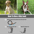 Mile High Life Slip Leads for Dogs | Heavy Duty Dog Training Leash | 4 Feet No Pull Slip Leashes w Leather Tip | Brown Rope Lead for Dogs Outside...