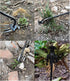 Weed Puller Tool, 2024 Upgraded Weed Puller Tool Stand Up | Heavy Duty Gardening Supplies | Effortless Multi-Functional Weed Removal | Essential G...