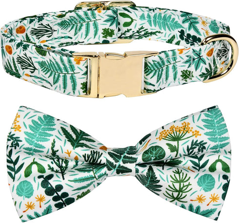 Watermelon Pet Tropical Fern Leaf Dog Bow Tie Dog Collar,Detachable Bowtie Accessory, Adjustable Collar for Small Medium Large Dogs, M (12 --20 in...