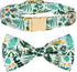 Watermelon Pet Tropical Fern Leaf Dog Bow Tie Dog Collar,Detachable Bowtie Accessory, Adjustable Collar for Small Medium Large Dogs, M (12 --20 in...