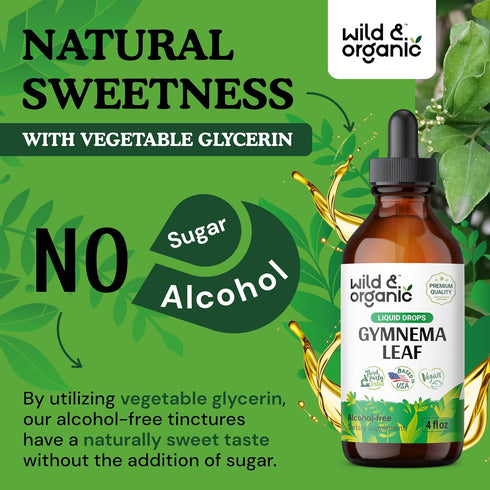 Gymnema Tincture - Sugar-Free Gymnema Sylvestre Supplements - Alcohol-Free Gymnema Drops for Antioxidant Support - Organic Gymnema for Cleanse - V...